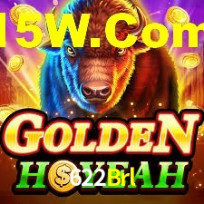 Premium Interface 622Brl